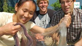 Have You Ever Seen a Hagfish [upl. by Adlesirc]