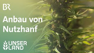 Schwierige Hanfernte  Unser Land  BR Fernsehen [upl. by Case]