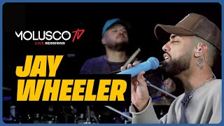 MOLUSCO TV LIVE SESSIONS Jay Wheeler Como enamorar una cantante  concierto en vivo [upl. by Demy]