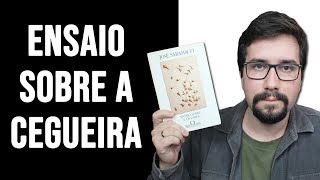 ENSAIO SOBRE A CEGUEIRA de José Saramago  Resenha [upl. by Story657]