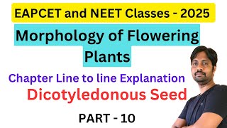 Dicotyledonous Seed  Morphology of Flowering Plants Line by line Explanation  Part 10 [upl. by Eilrahs]