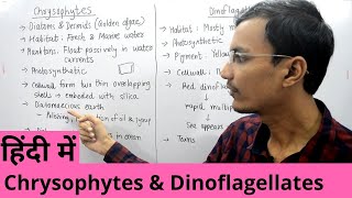 Kingdom Protista  Chrysophytes and Dinoflagellates in Hindi [upl. by Vesta]