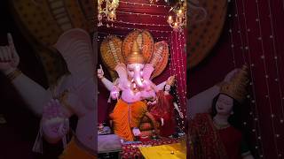 Pepal bale ganpati sagar mp📍 the vlogger mp15 ganpati lordganesha thevloggermp15 [upl. by Hildie]