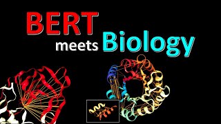 BERTology Meets Biology Interpreting Attention in Protein Language Models Paper Explained [upl. by Faria]