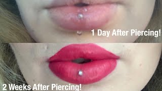 Vertical Labret Piercing  Swelling Pain Healing Time  Everything You Need To Know [upl. by Acirea]