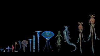 All Leviathan Class Organisms known yet on 4546B  All leviathan size comparison [upl. by Atila]