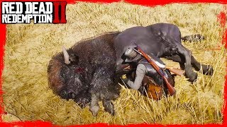 RDR2 Hunting Bison  Hunting and skinning with John Marston Gameplay🤠🤠🤠 [upl. by Greenleaf]