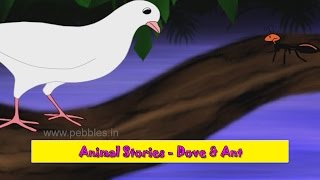 Kabutar Ani Mungi  Dove amp Ant  Animal Stories Marathi for Kids  Marathi Goshti for Children HD [upl. by Gustavus961]