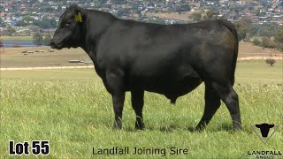 Lot 055 Landfall Rostella TFA22T464 [upl. by Lerual]