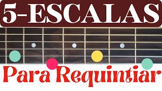 Como aprender a tocar las escalas para requinto  doremisolla  requintiar [upl. by Eerdna706]