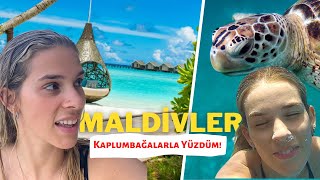 MALDİVLER MEGA VLOG  Kaplumbağalar ile Yüzdüm Fantastik Maldivler Odamız 🌴 [upl. by Arreit]