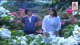 Pani vilum malar vanam song  Ninaivellam Nithya  பனிவிழும் மலர்வனம் [upl. by Aiker522]