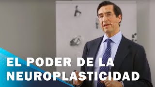 El poder de la neuroplasticidad para desplegar tu verdadero potencial  Mario Alonso Puig [upl. by Ronnica777]