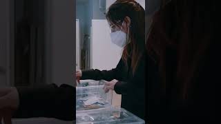 🧫 Así es ESTUDIAR el Grado en BIOTECNOLOGÍA en la Universidad CEU San Pablo [upl. by Iniretake]