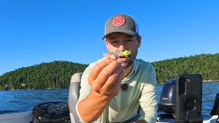 DEADLY Tips to Catch FINICKY Summer LAKE TROUT [upl. by Lien]