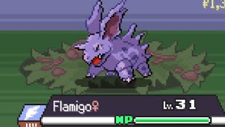 Live Shiny Nidorino  Pokemon Rouge [upl. by Leunamesoj]