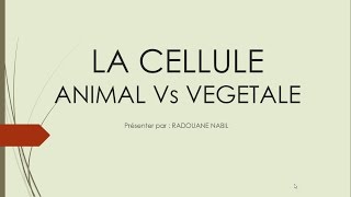 Biologie Cellulaire S1  la cellule végétale et la cellule animale الإختلاف بينهما [upl. by Anes873]