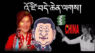 བདེ་ཆེན་བདག་སྲས་སྐྱག་རྫུན་མ་བཤད།  What the hell Dechen Shak Dagsay   སེམས་ཀྱི་འཚོར་གཏམ། [upl. by Akkim928]