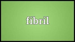 Fibril Meaning [upl. by Gentille]