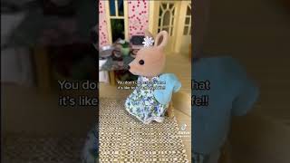 Sylvanian Drama Tiktok  There She Goes [upl. by Arman596]