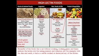 Healthy food chart for Lectins antinutrient [upl. by Cirda]