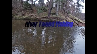 River Tweed Fishing [upl. by Kinna593]