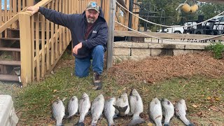 STRIPER FISHING AT RIVERWINDS LANDING [upl. by Adieren163]