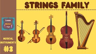 STRINGS FAMILY  INSTRUMENTS OF THE ORCHESTRA  LESSON 3  LEARNING MUSIC HUB  ORCHESTRA [upl. by Enirac729]