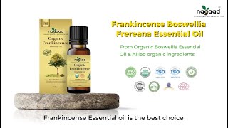 Frankincense Frereana Essential Oil  Nagaad Organics  100 Organic  Somalia  Dubai UAE [upl. by Bergmans]