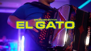 Grupo Selectivo  El Gato Video Oficial [upl. by Holmann]