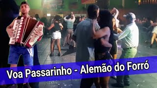 Voa Passarinho  Alemão do Forró cover [upl. by Earissed]