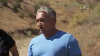 Cesar 911 Episode 6 Exclusive Off Leash [upl. by Fayina]