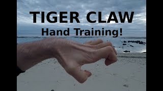 Tiger Claw Kung Fu  Hand Position and Conditioning [upl. by Ylrebmi458]