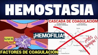 TODO SOBRE HEMOSTASIA Y CASCADA DE COAGULACIÓN 🌊🔴 Súper fácil [upl. by Coltson353]