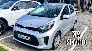 2022 Kia Picanto 10L start manualAuto ReviewBudget Car SA [upl. by Aniara125]