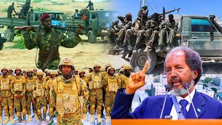 MADAXWEYNE XASAN SHEEKH quotQABIIL QABIIL KALE KA AWOOD BADAN MA JIRO YAAN BEEN LEESU SHEEGINquot [upl. by Eikcir]