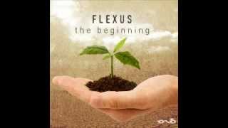 Flexus  The Beginning [upl. by Deer]