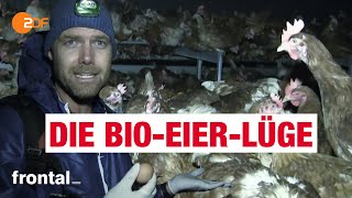 BioEier Massentierhaltung und Tierleid  frontal [upl. by Bilac519]