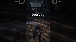 Dog bird bird dog bloodborne dogbird birddog videogames games fyp fypシ゚viral viralvideo [upl. by Ardnaxela822]