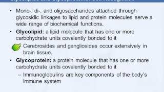 3B 720 Glycolipids amp Glycoproteins Cell Recognition [upl. by Grizelda]