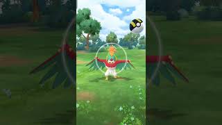 How to catch Hawlucha in Pokemon Go [upl. by Atsed]