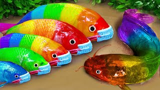 Stop Motion ASMR  Battle of fish  Catfish hunting colorful Koi Fish Eels [upl. by Latsirk]