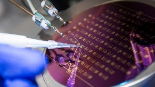 WPI’s Liquid Biopsy Chip Captures Cancer Cells in a Simple Blood Test [upl. by Aulea]