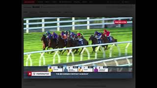 Frank Express at 141  Value Longshot Play at Mornington [upl. by Sreip]