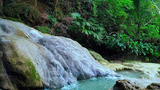 Calming Waterfall and Nature Sounds  Nature Meditation Music for Positive Energy [upl. by Iddet]