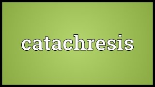 Catachresis Meaning [upl. by Dag350]