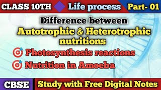 life process Autotrophic nutrition Heterotrophic nutritionsphotosynthesis Nutrition in Amoeba [upl. by Leiuqeze]