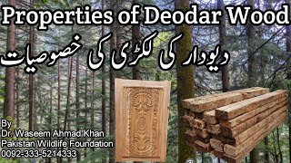 Deodar Wood Benefits  Diyar Ki Lakri Kay Faiday  دیار کی لکڑی کے فائدے [upl. by Nelle752]