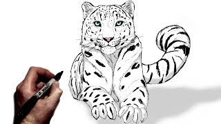 How To Draw A Snow Leopard  Step By Step [upl. by Lemyt]