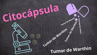 Citocápsula TUMOR DE WARTHIN [upl. by Glover]